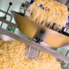 英国最大的奶酪加工公司投资数百万英镑的新设施