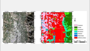 利用卫星图像融合技术增强植物生长跟踪